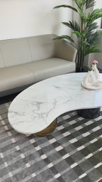 Retro Fusion Centre Table for Living Room (Stainless Steel) (Gray and Gold Finish)
