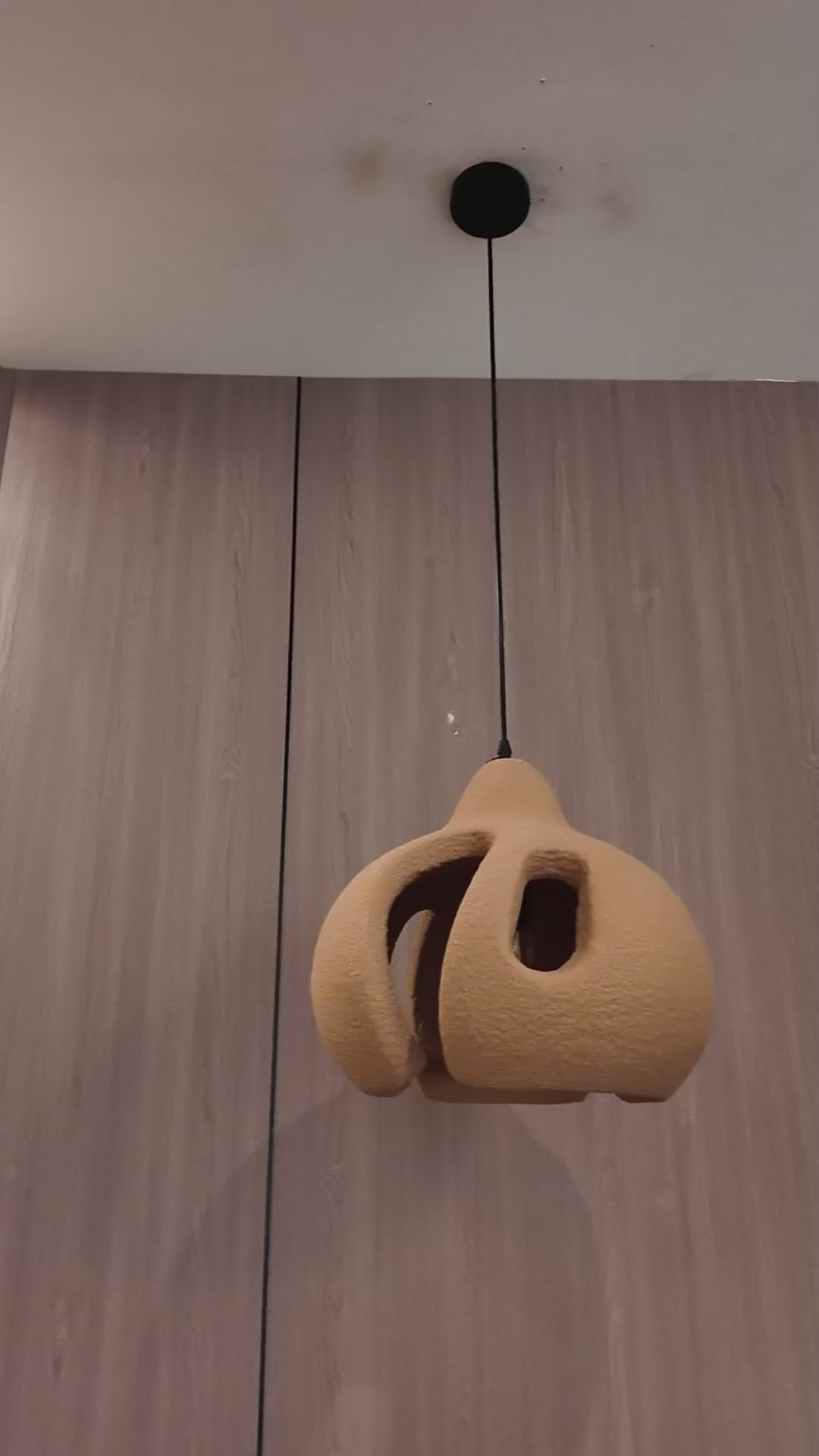 Aurelia Nest  Ceiling Light For Home & Item for Home Decoration