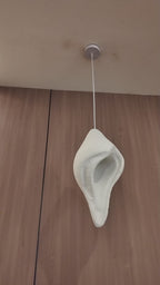 Celestial Shell Pendant Light For Home & Item for Home Decoration