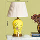 Lustrous Shine Living Room Lamp