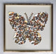 The Metallic Tropical Butterfly Kaleidoscope Shadow Box Wall Decoration Piece
