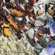 The Tropical Butterfly Kaleidoscope Shadow Box Wall Decoration Piece