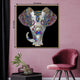 Mysore Elephant Framed Canvas Print