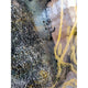 Vibrant Oasis Modern Resin Art Wall Painting