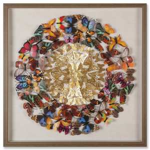 The Tropical Butterfly Kaleidoscope Shadow Box Wall Decoration Piece