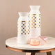 The Golden Mystique Lattice Decorative Ceramic Vase