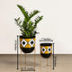 Dynamic Diamond Metal Planters : Set of Two