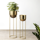 Modish Gold Planter - Pair