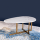 The Egg Shape Oval Coffee Table