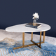 The Egg Shape Oval Coffee Table