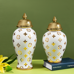 Splendid Starburst Decorative Ceramic Vase - Pair