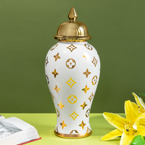 Splendid Starburst Decorative Ceramic Vase - Big