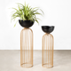 Urban Zen Planter ( Gold Stand & Black Pot ) - Pair