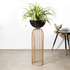 Urban Zen Planter (Gold Stand & Black Pot) - Big