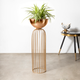 Urban Zen Planter ( Gold Stand & Ross Gold Pot ) - Big