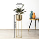 Modish Gold Planter - Small