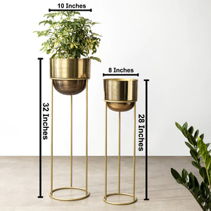 Modish Gold Planter - Pair